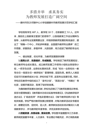 教师发展示范学校汇报Word文档