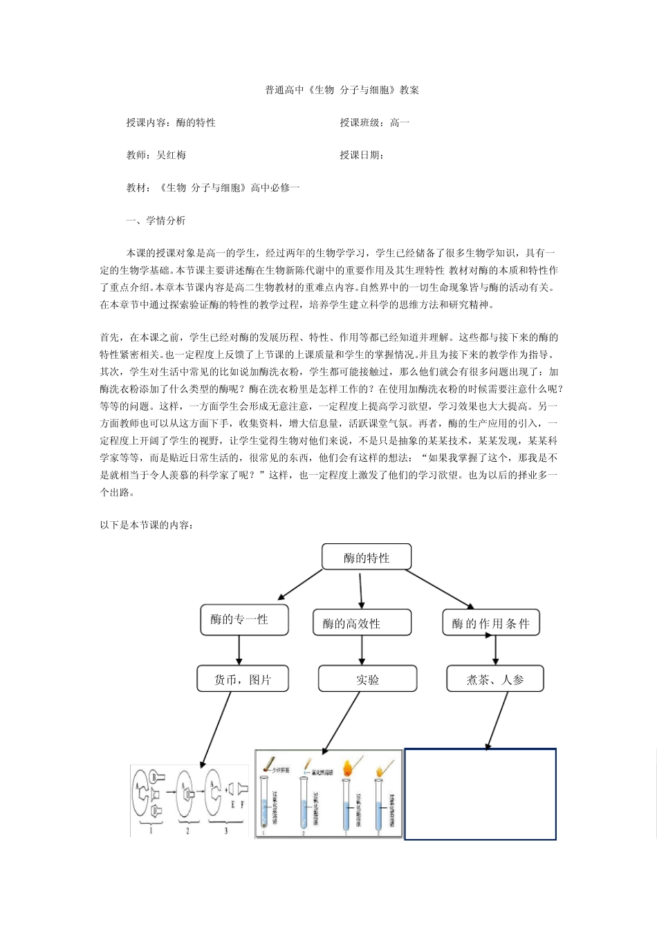 教案。酶的特性_第1页