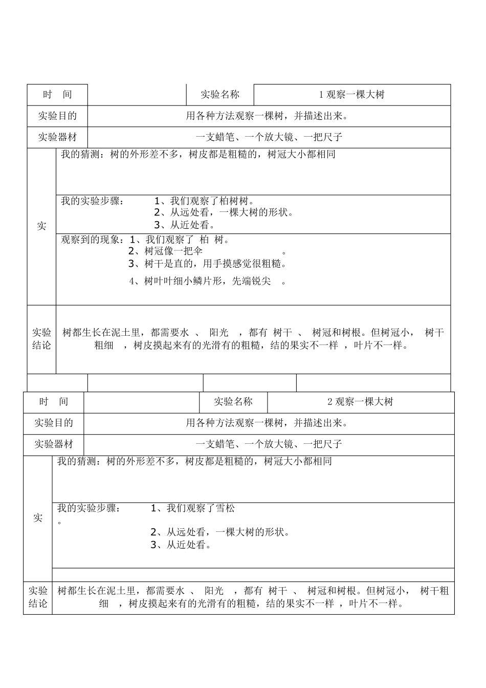 教科版三年级上册科学实验报告单20个_第1页
