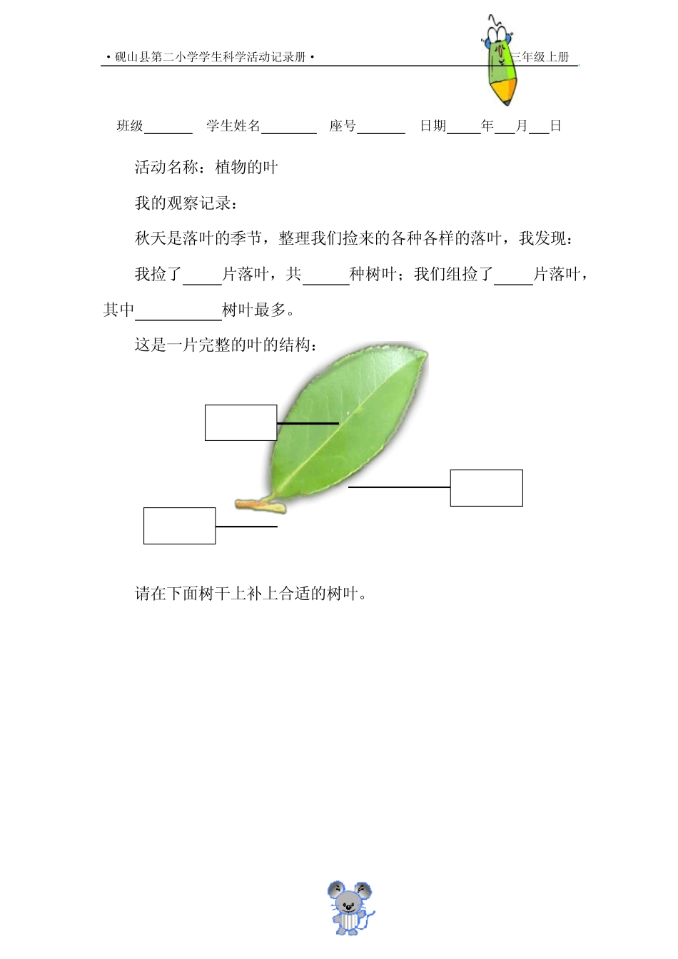 教科版三年级科学上册实验报告单1_第3页