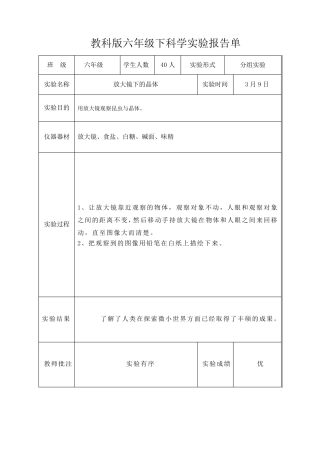 教科版六年级下科学实验报告单新版