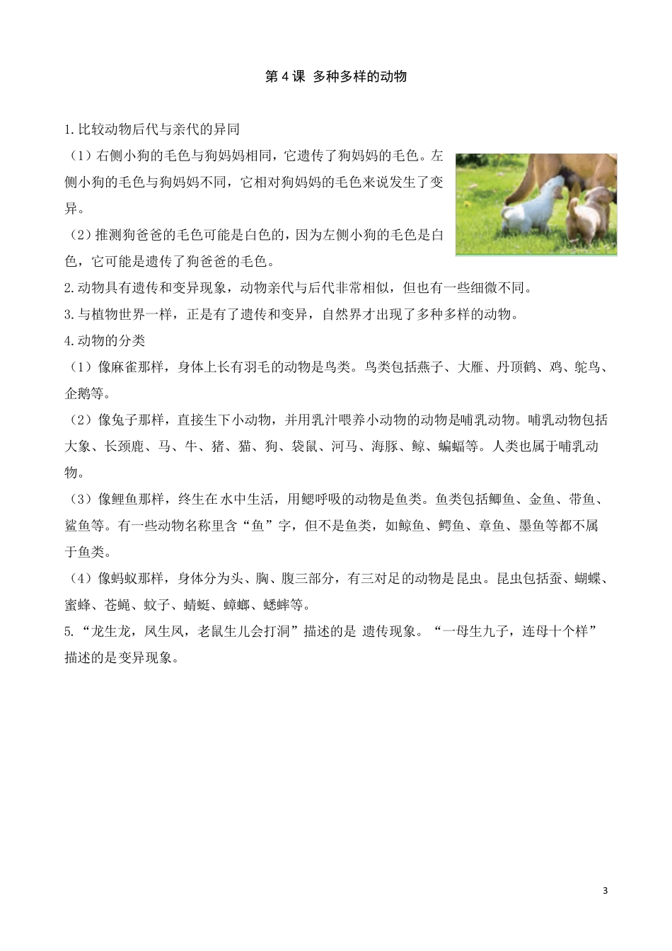 教科版科学六下第二单元《生物的多样性》知识点_第3页