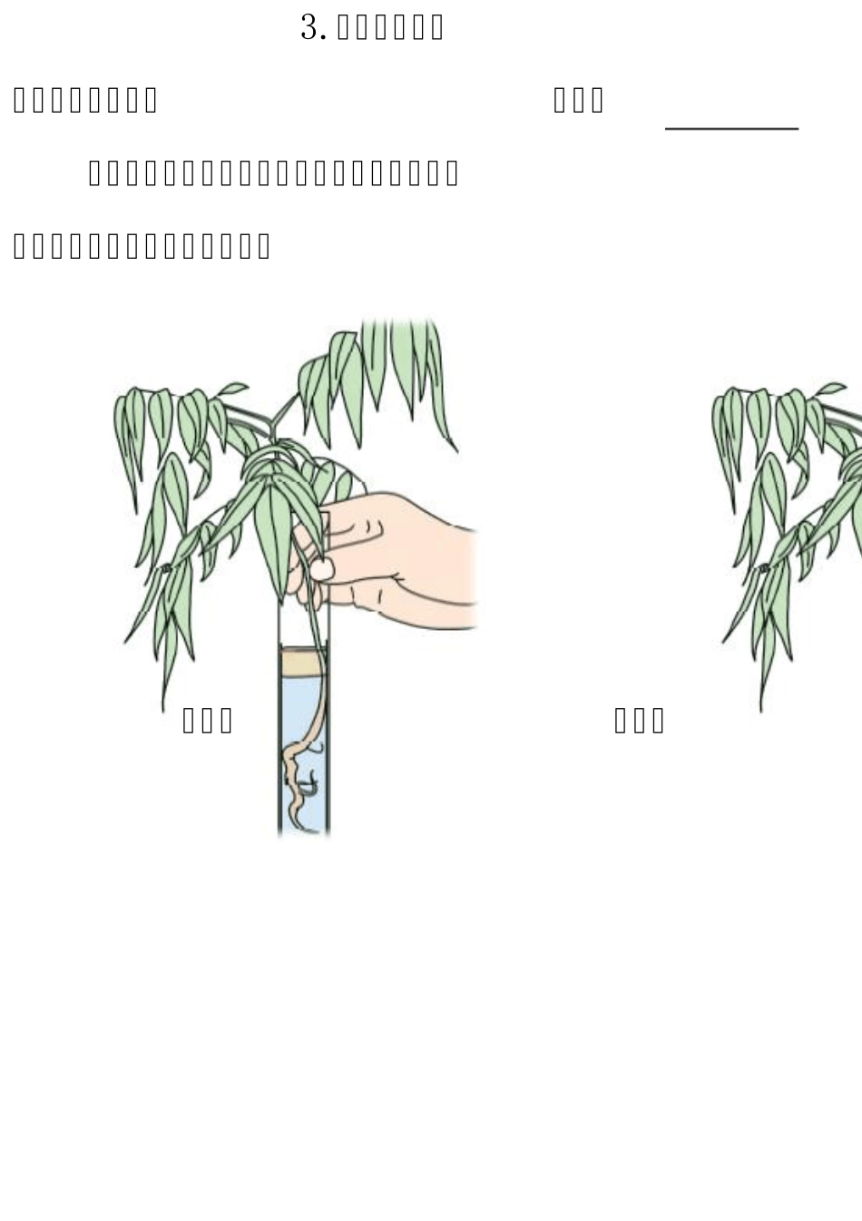 教科版科学四下活动手册答案_第2页