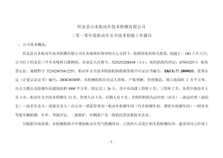 机动车安全技术检验2010年度报告