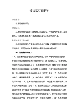 机场运行指挥员