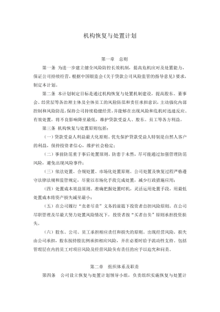 机构恢复与处置计划