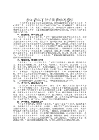 参加青年干部培训班学习感悟