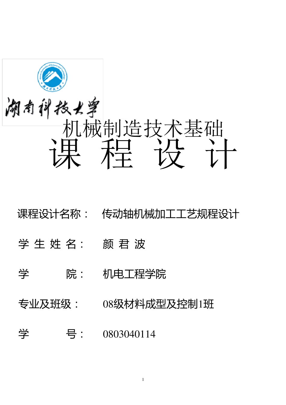 机械制造技术基础课程设计模板_第1页