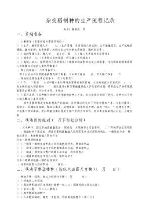 杂交稻制种的生产流程