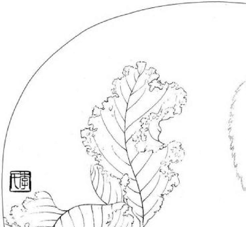 李晓明高清白描作品_第1页