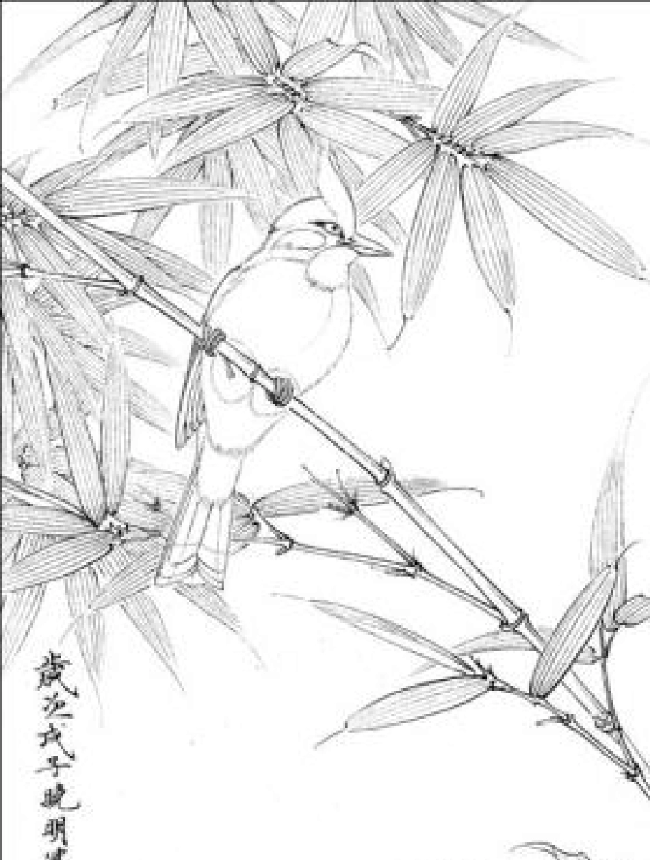 李晓明高清白描作品_第2页