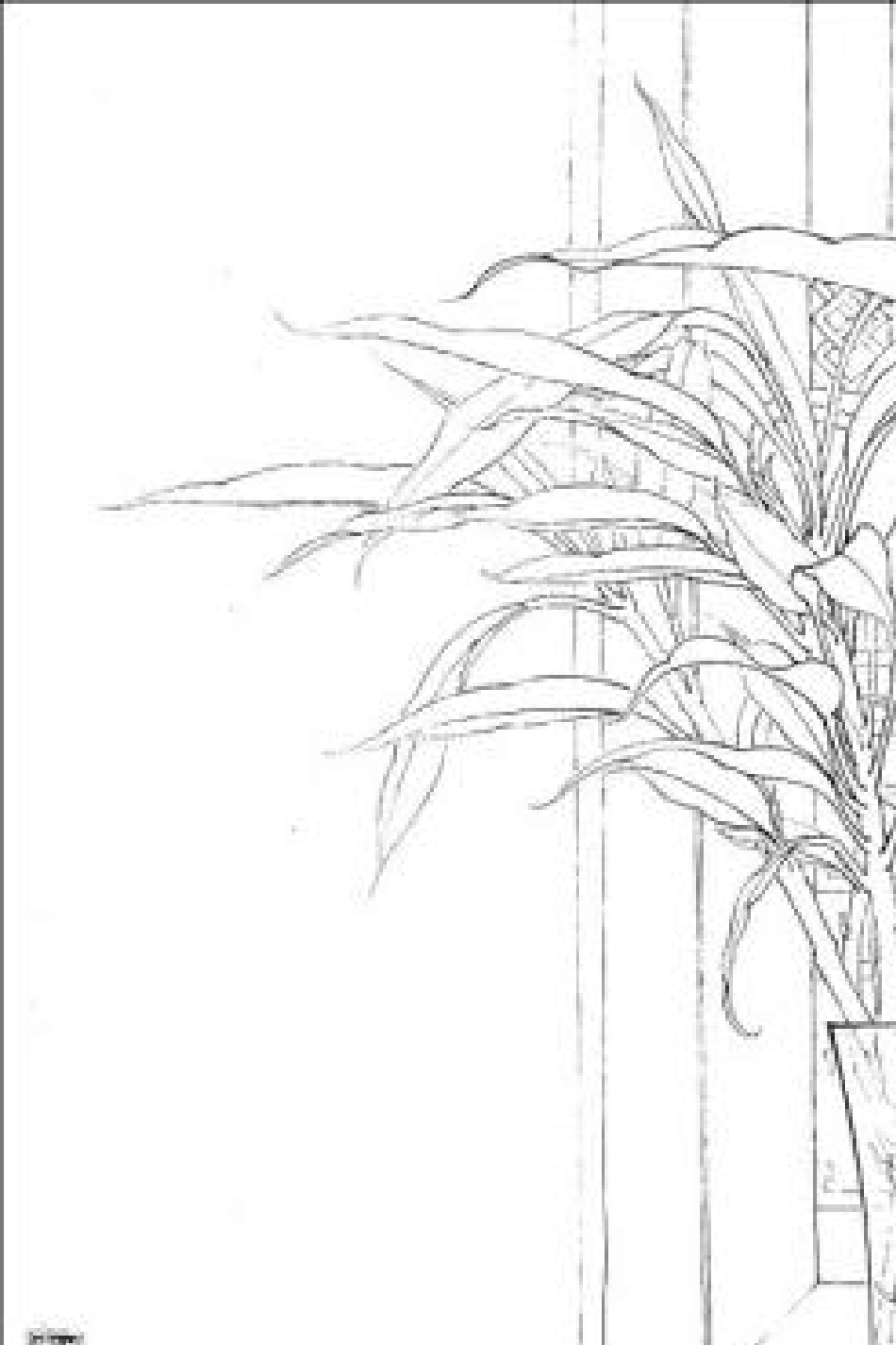 李晓明高清白描作品_第3页