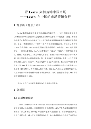 李维斯营销分析