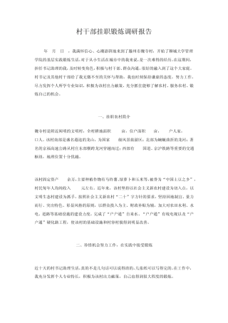 村干部挂职锻炼调研报告