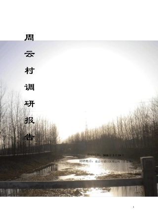 村庄调研报告03