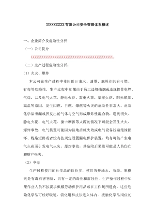 XXXXXXXXXX有限公司安全管理体系概述