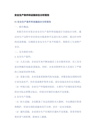 安全生产条件和设施综合报告