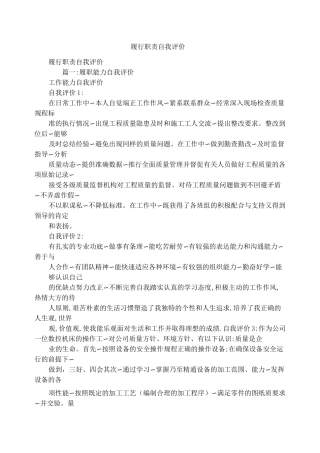 履行职责自我评价