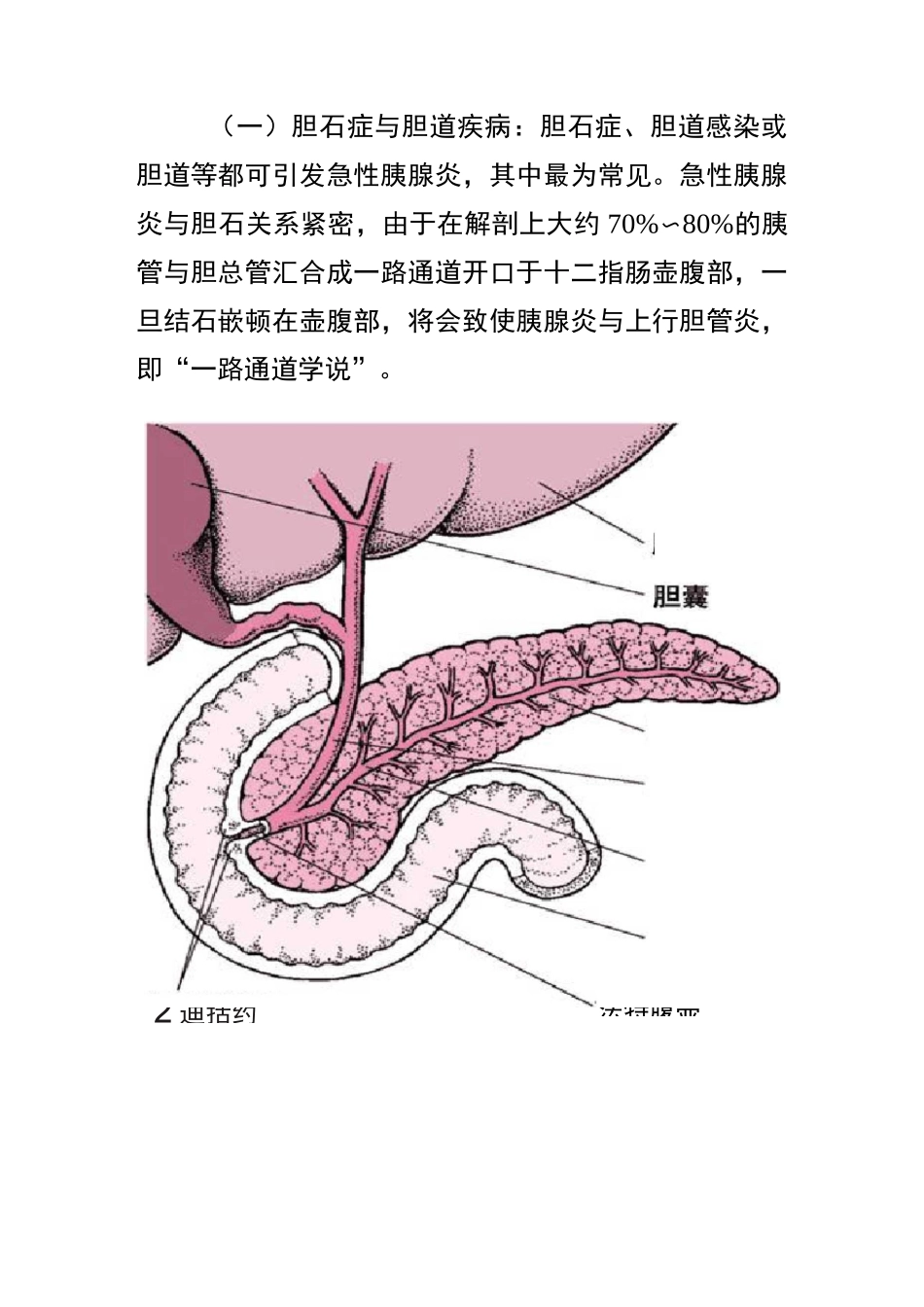 急性胰腺炎的健康教育_第2页