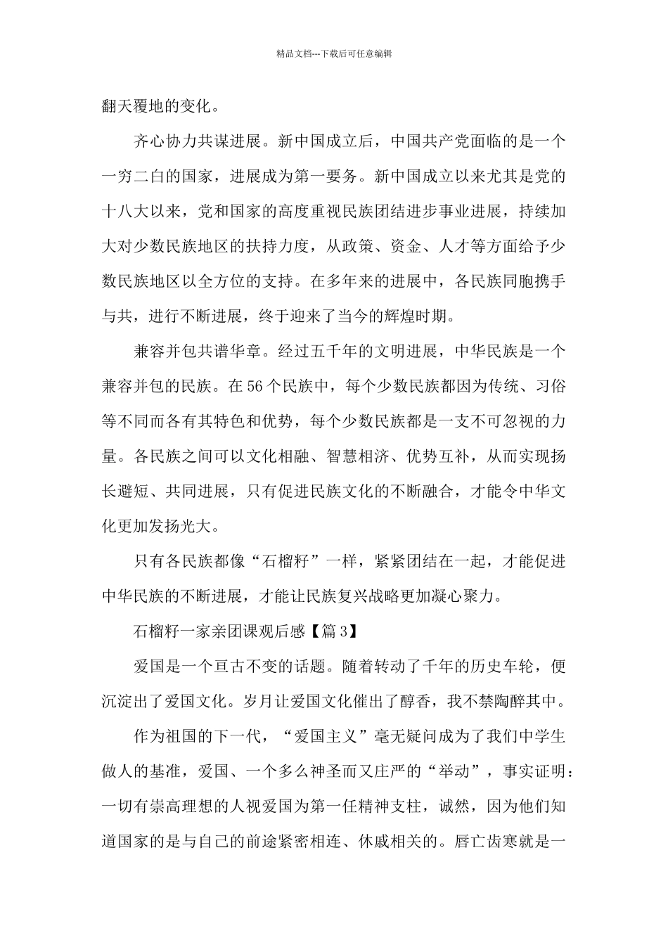 石榴籽一家亲团课观后感2024最新_第3页