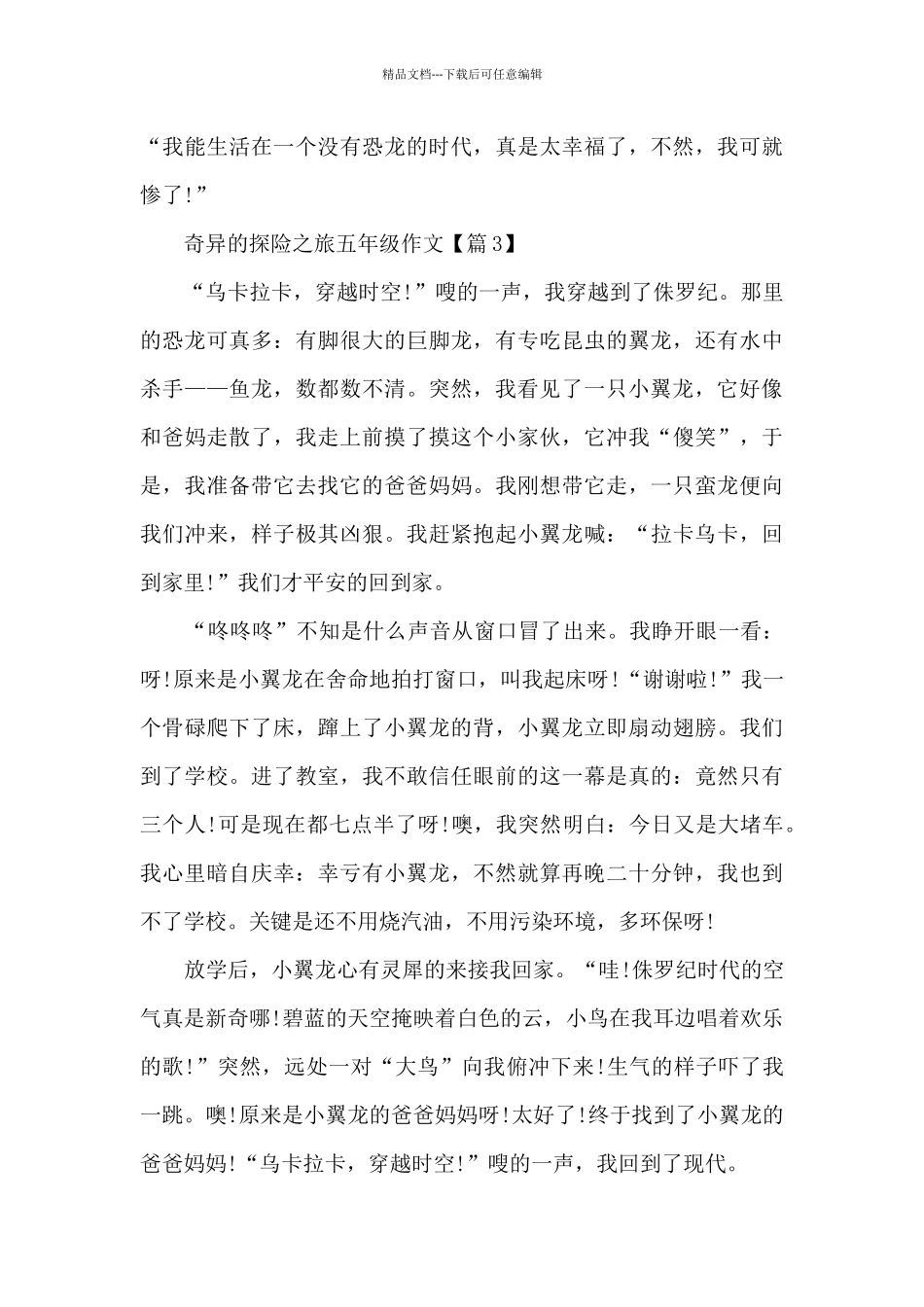 神奇的探险之旅五年级作文范文_第3页