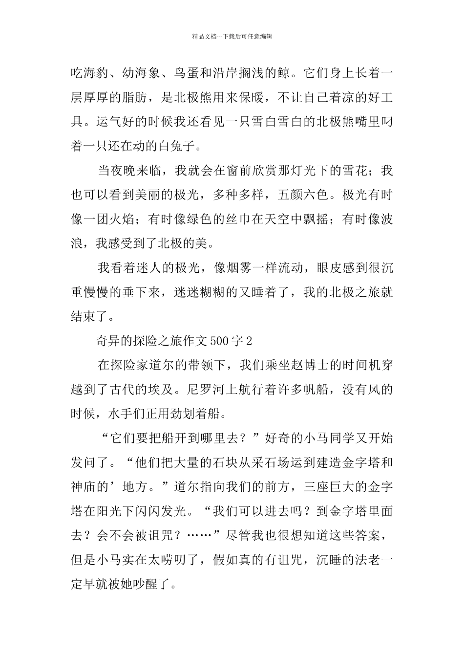 神奇的探险之旅作文500字4篇_第2页