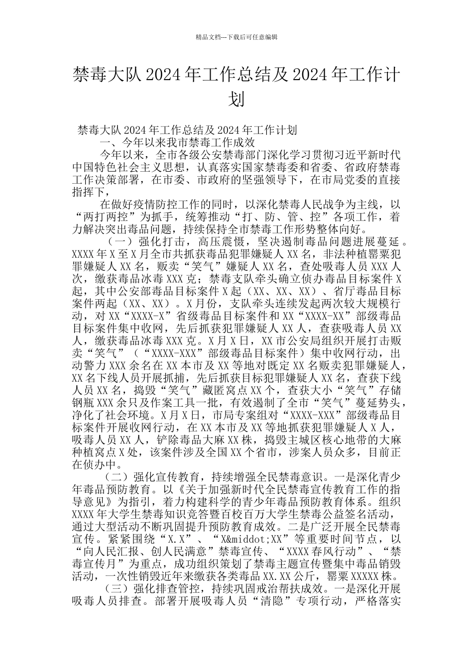 禁毒大队2024年工作总结及2024年工作计划_第1页