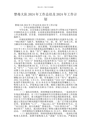 禁毒大队2024年工作总结及2024年工作计划