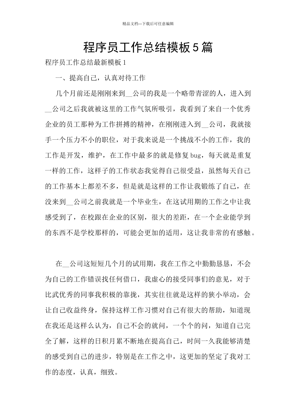 程序员工作总结模板5篇_第1页