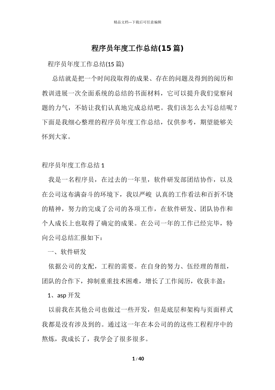 程序员年度工作总结_第1页