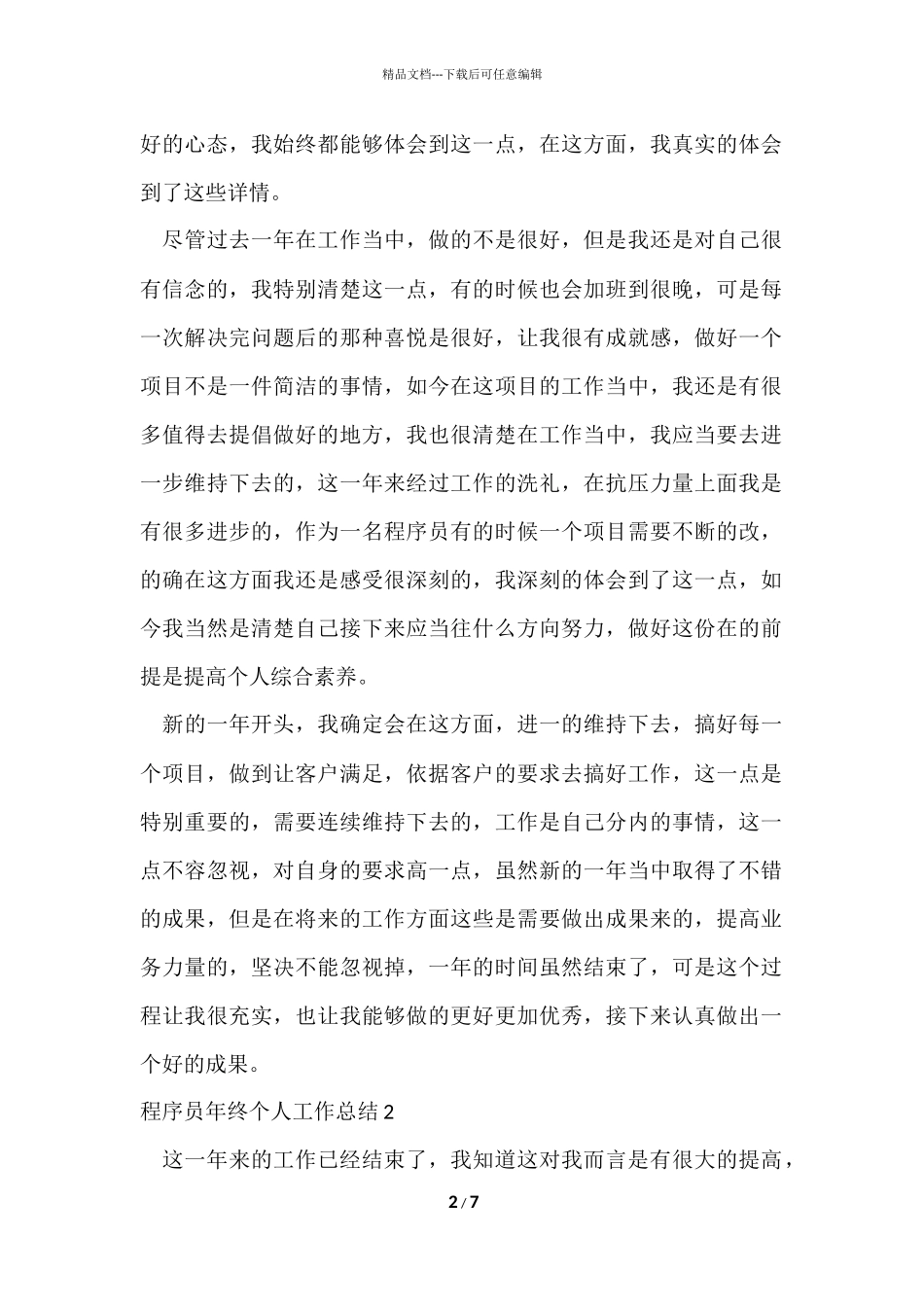 程序员年终个人工作总结_第2页