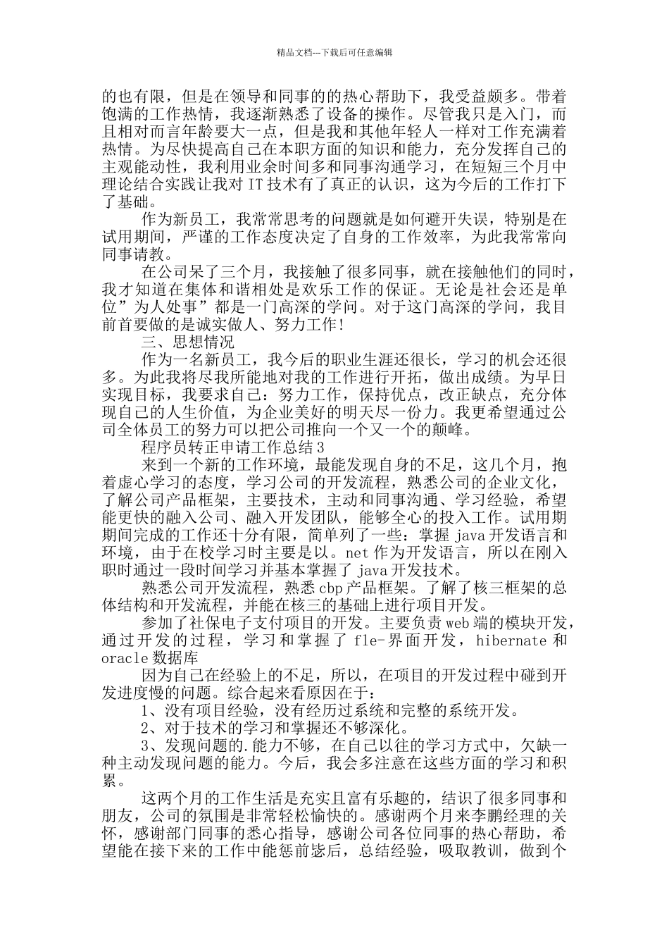 程序员转正申请工作总结_第2页
