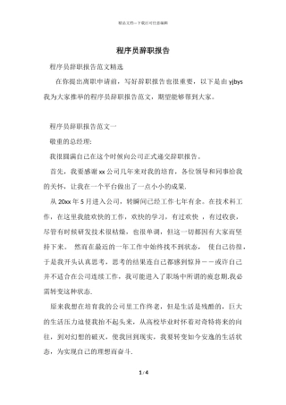 程序员辞职报告