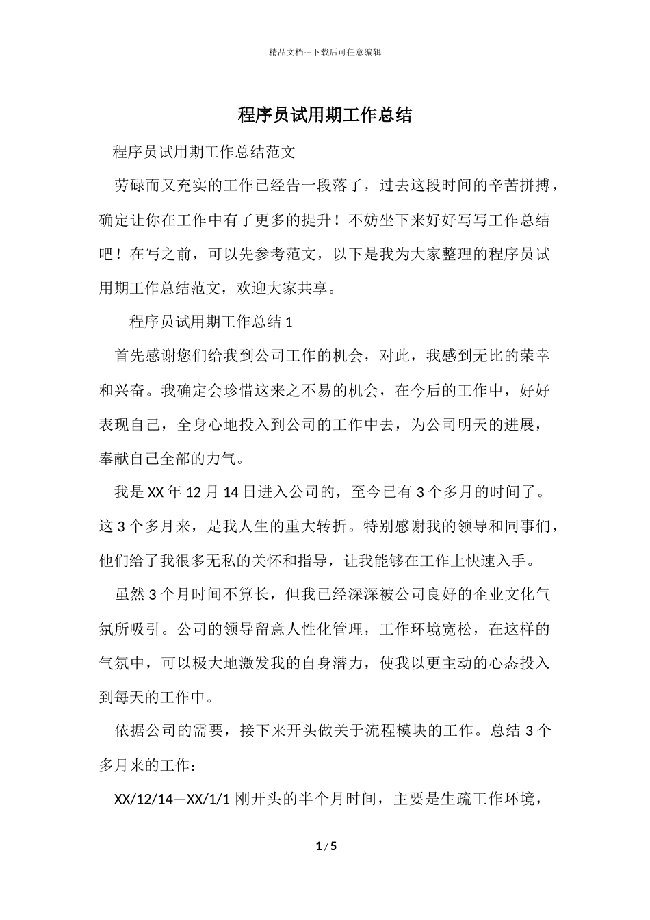 程序员试用期工作总结-1_第1页