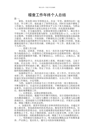 稽查工作年终个人总结