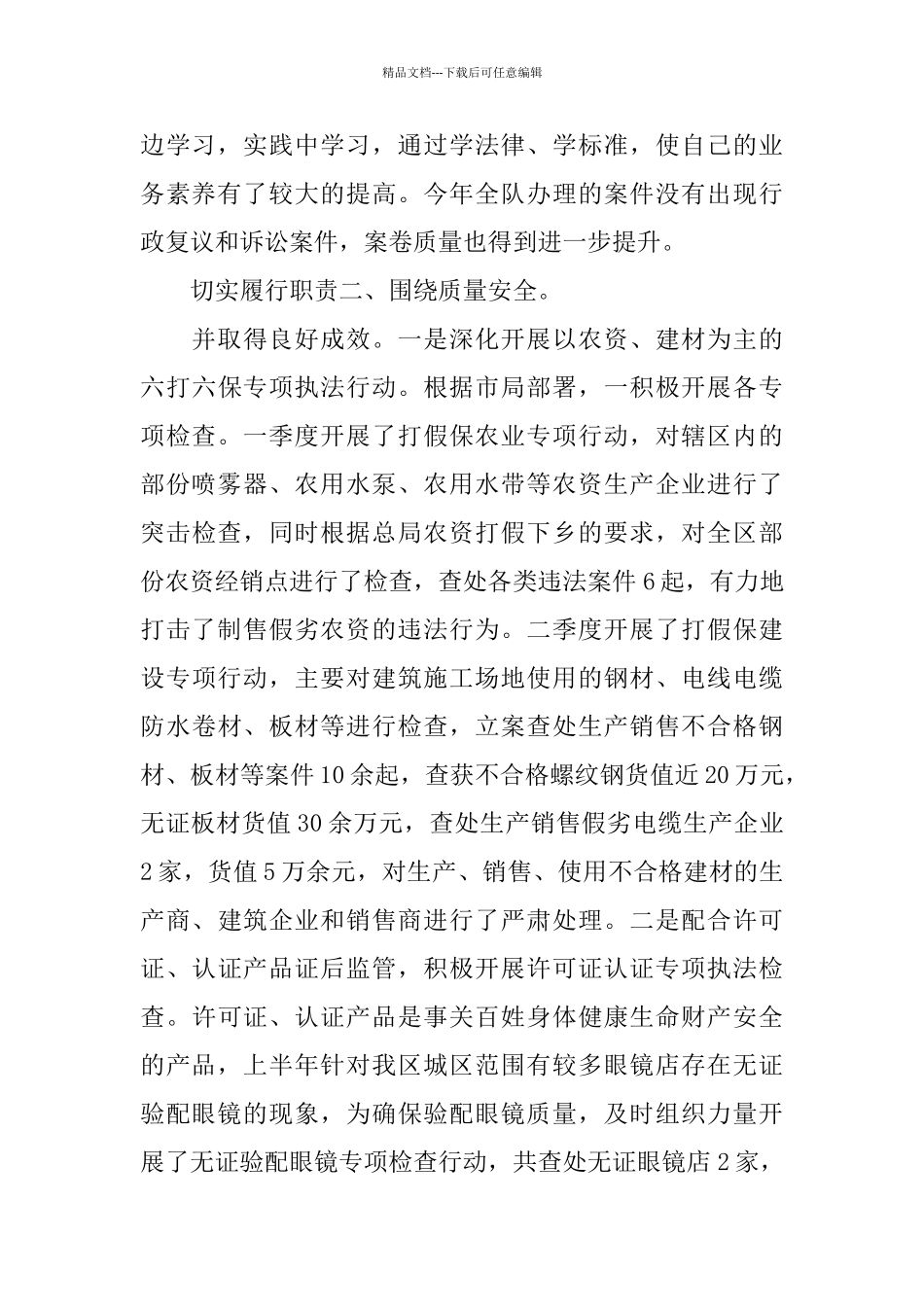 稽查队队长履职工作总结_第2页