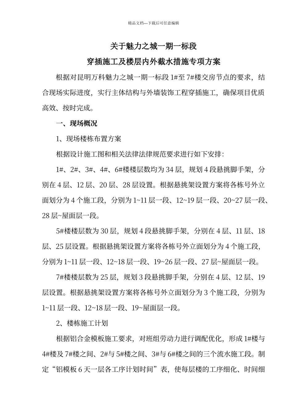 穿插提效专项方案_第1页