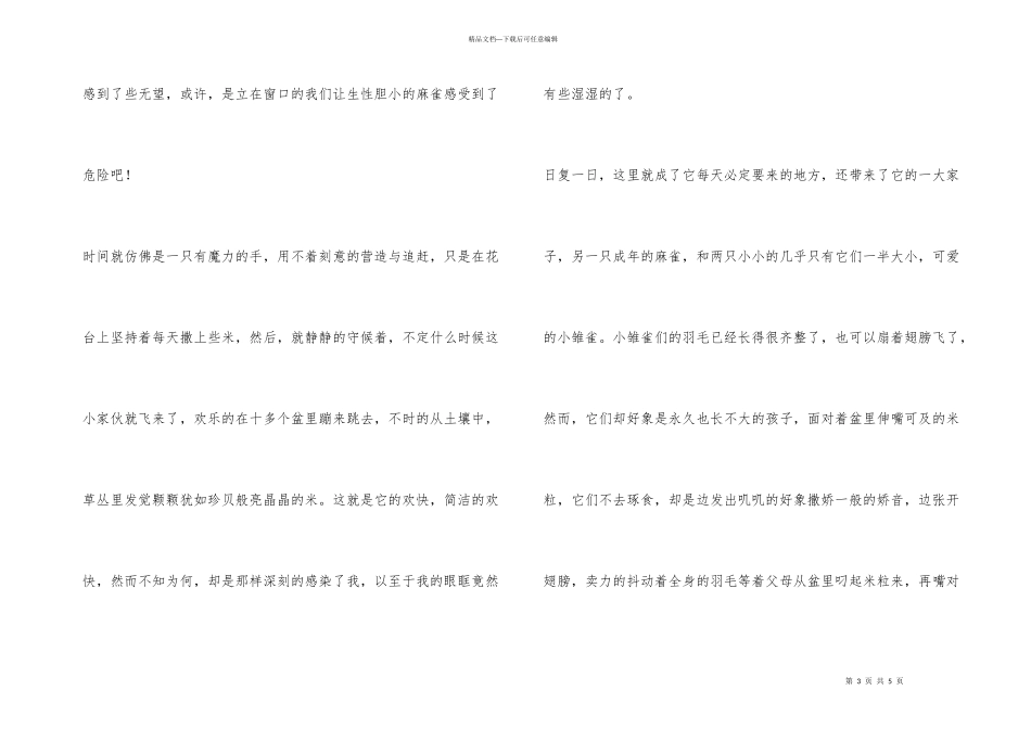 窗台上的麻雀_第3页