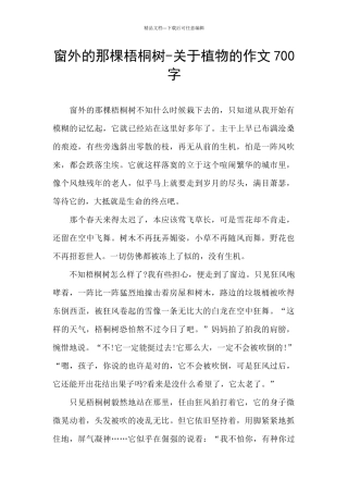 窗外的那棵梧桐树