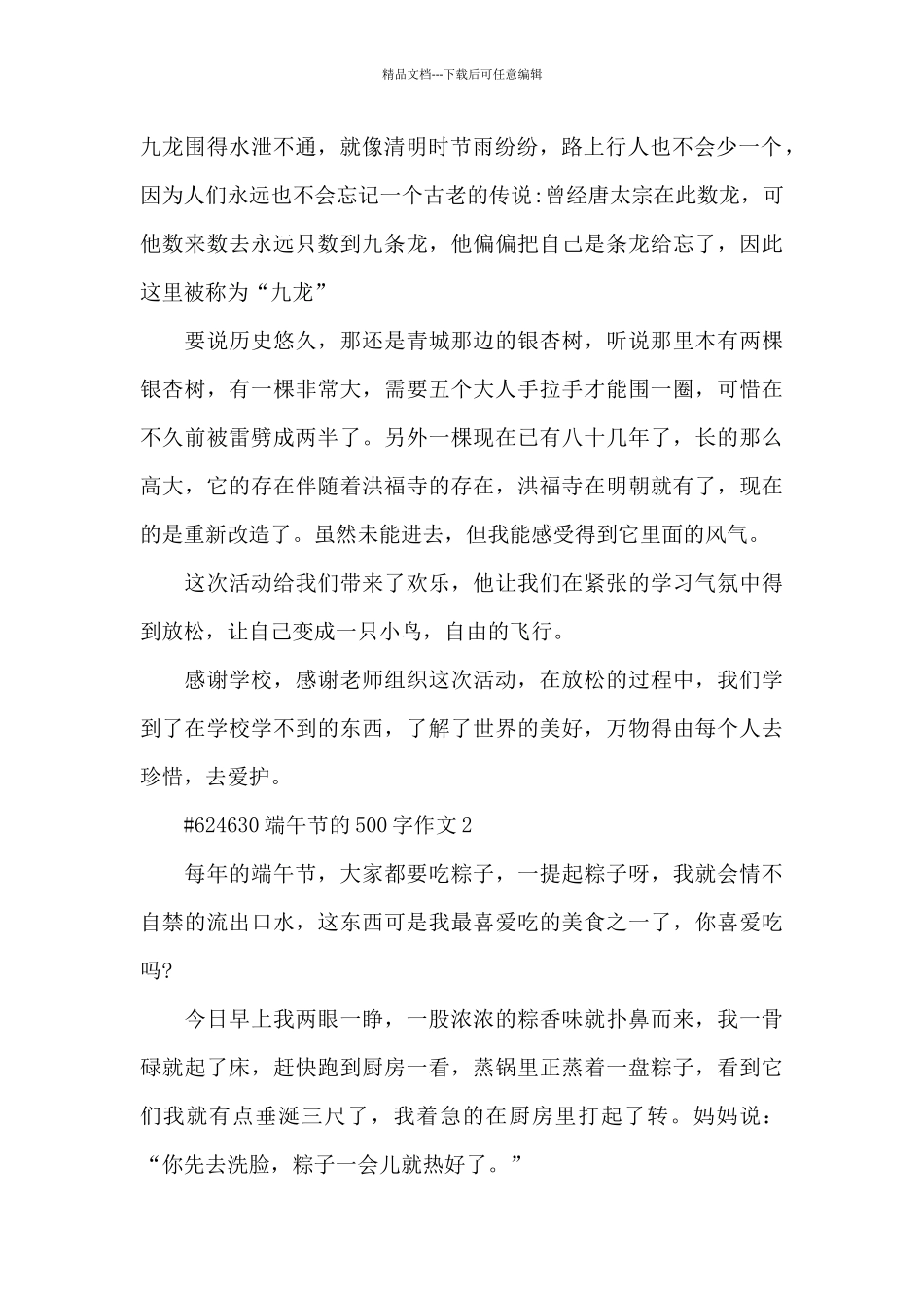 端午节的500字主题作文6篇_第2页