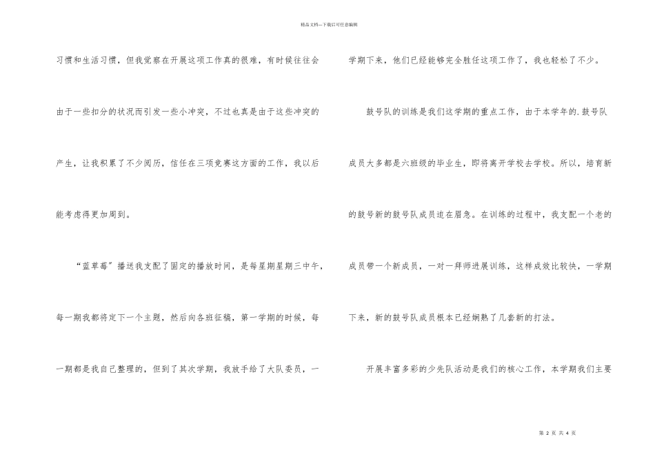 第二学期少先队工作总结_第2页