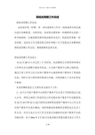 简短试用期工作总结