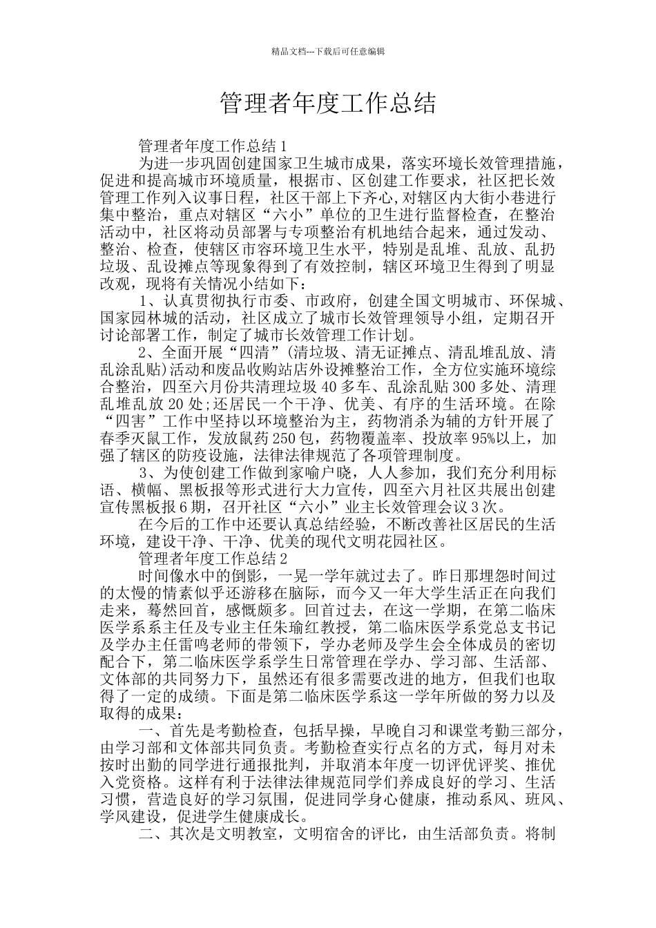 管理者年度工作总结_第1页