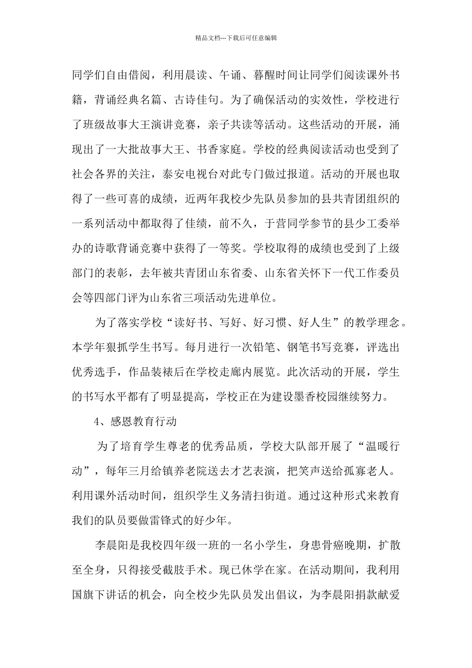 精品少先队辅导员总结_第3页