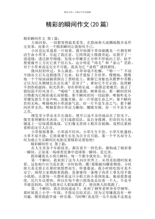 精彩的瞬间作文