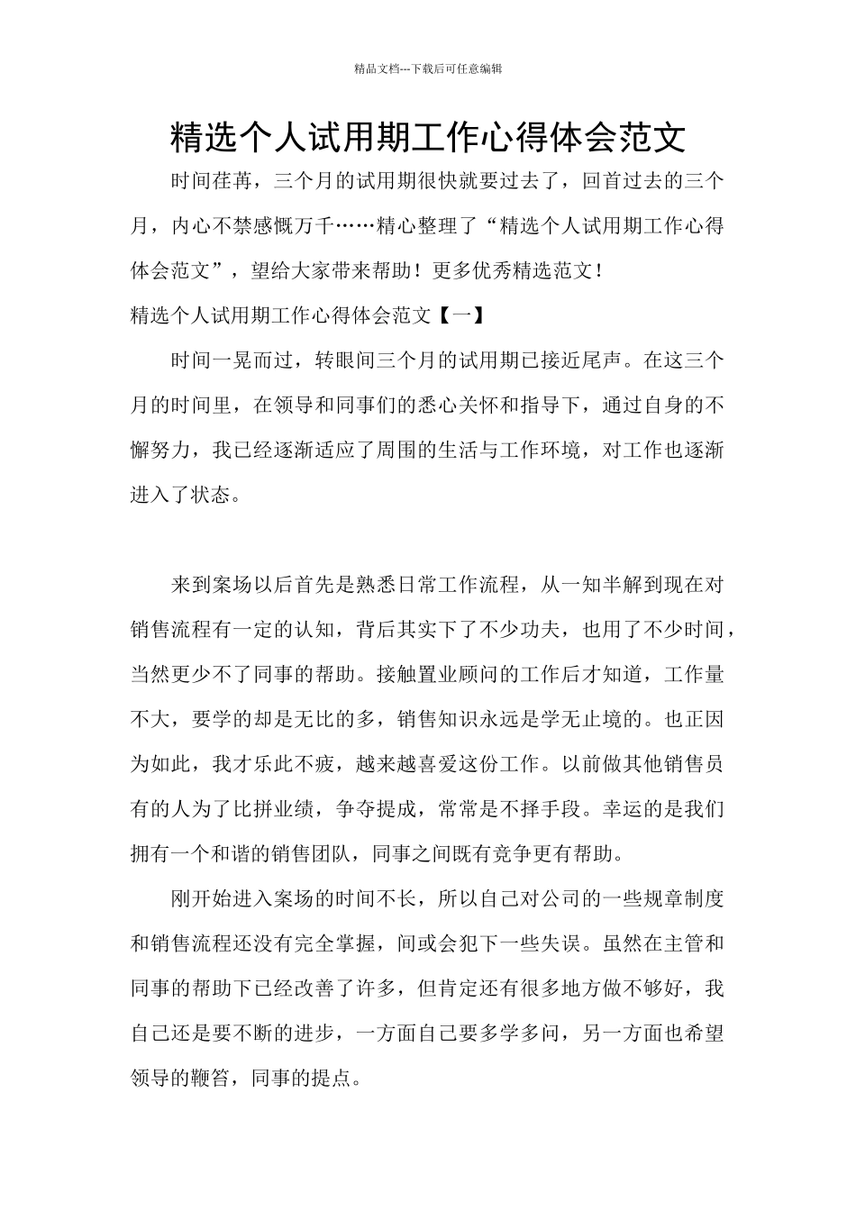 精选个人试用期工作心得体会范文_第1页