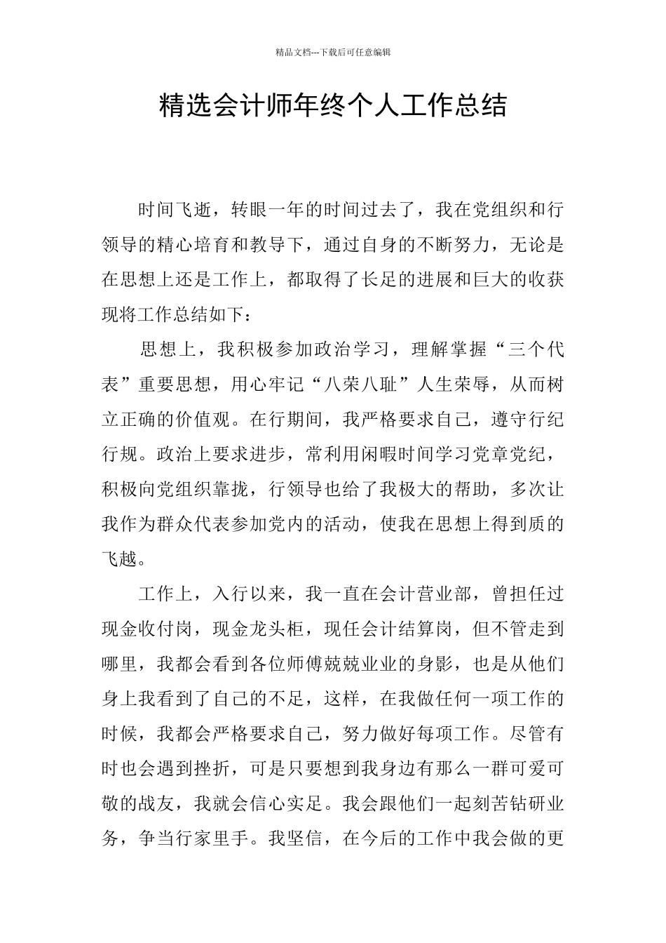 精选会计师年终个人工作总结_第1页