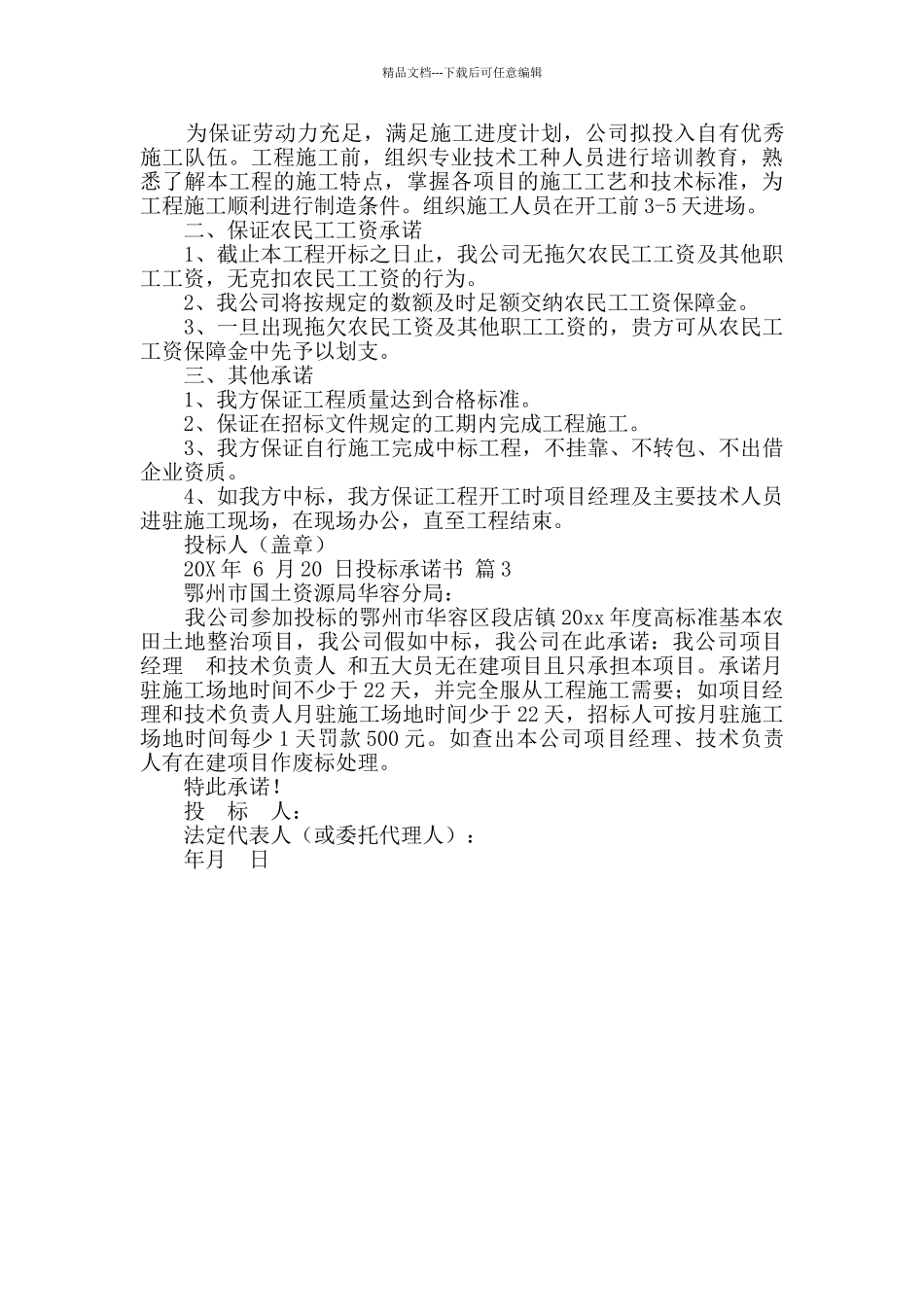 精选投标承诺书三篇_第2页