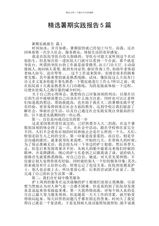 精选暑期实践报告5篇