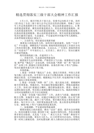 精选贯彻落实三级干部大会精神工作汇报